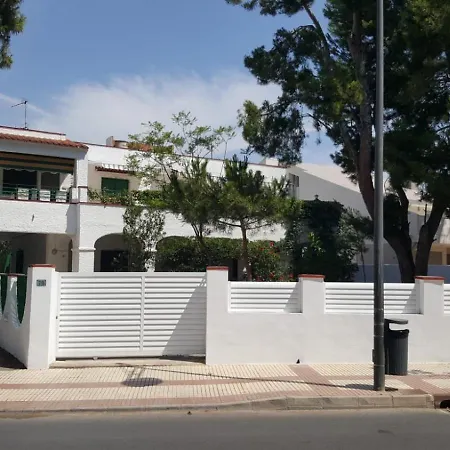 Feli 3 * Benicassim